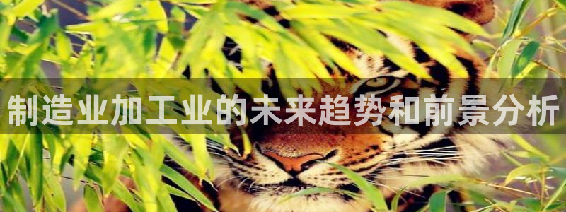谈球吧app体育