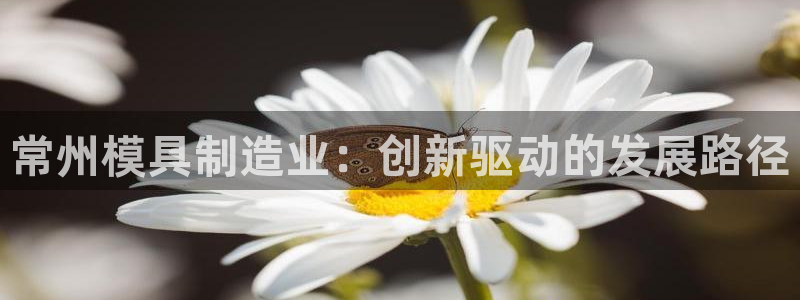 谈球吧体育赛事入口