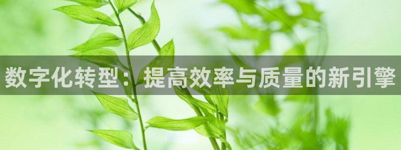 谈球吧体育app官网