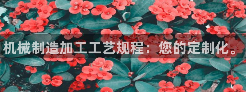 谈球吧在线登录