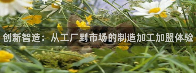 谈球吧属于哪个旗下的品牌