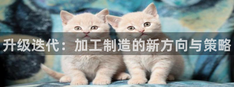 谈球吧体育app下载足球比赛视频