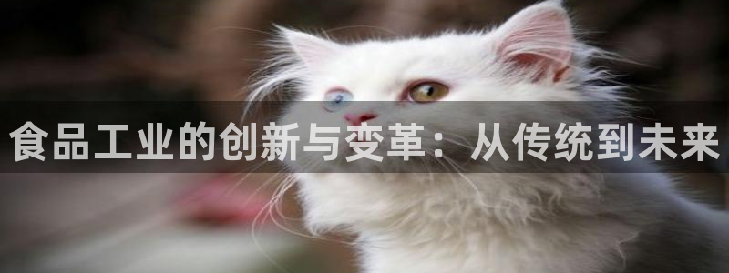 谈球吧的聊天软件