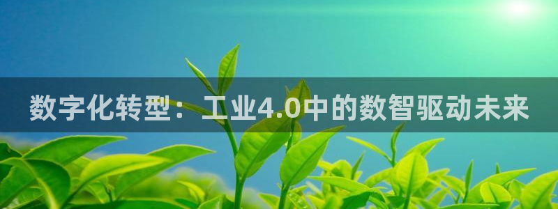 谈球吧首页