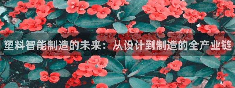谈球吧是黑台子吗还是白台子好