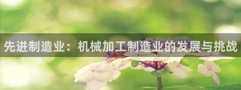 谈球吧体育app下载足球比赛