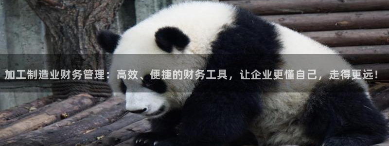 谈球吧可靠吗