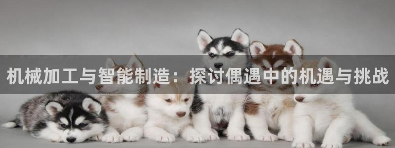 谈球吧体育app下载中心官方最新版