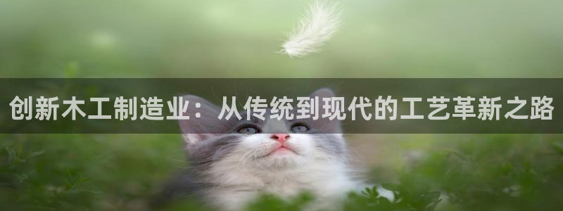 谈球吧app下载ios