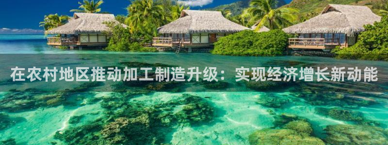 谈球吧网站