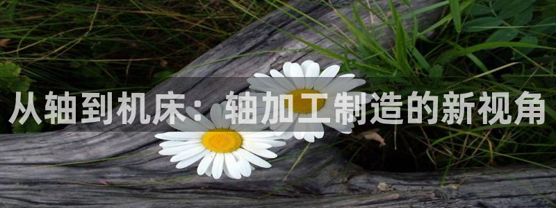 谈球吧官网在线入口
