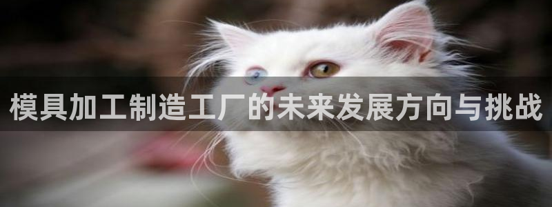 谈球吧体育app官网下载