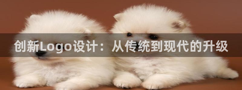 谈球吧打不开了