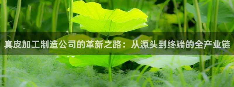 谈球吧体育app下载足球比赛