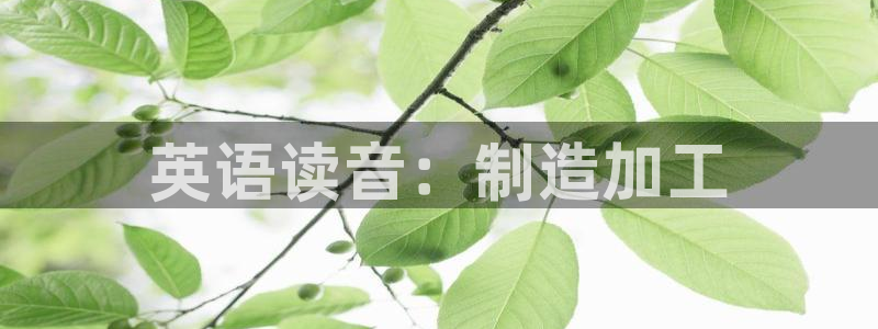 谈球吧平台app下载网址是多少