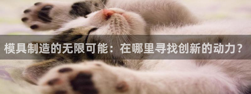谈球吧平台