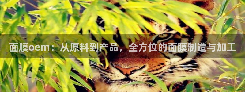 谈球吧登录网