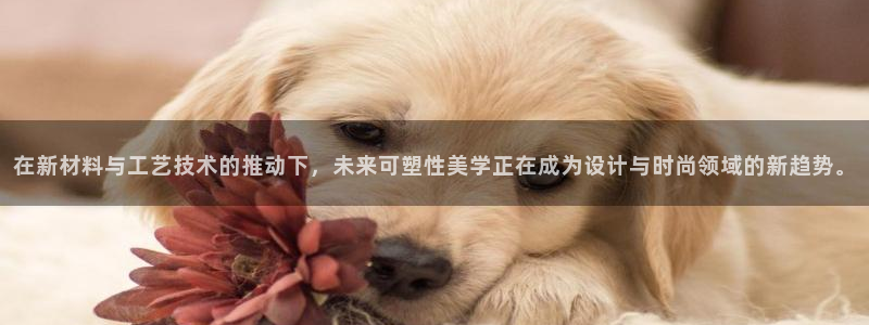 谈球吧体育app下载中心