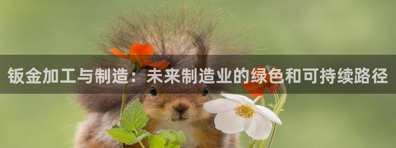 谈球吧app下载ios