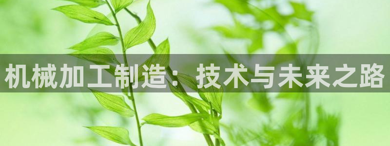 谈球吧体育综合
