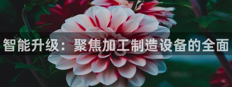 谈球吧官网在线入口免费观看高清版