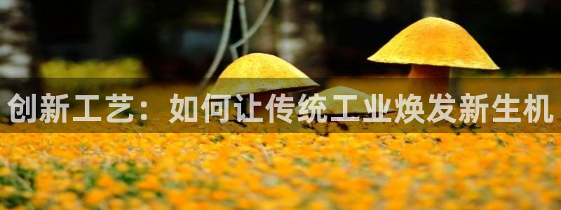 谈球吧综合官网app