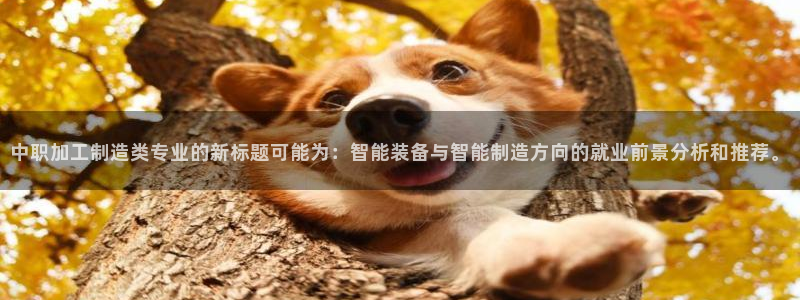 谈球吧官网在线入口免费观看高清