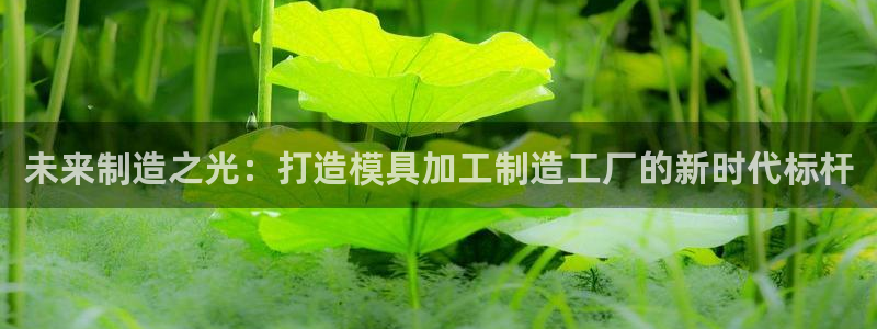 谈球吧的聊天软件叫什么