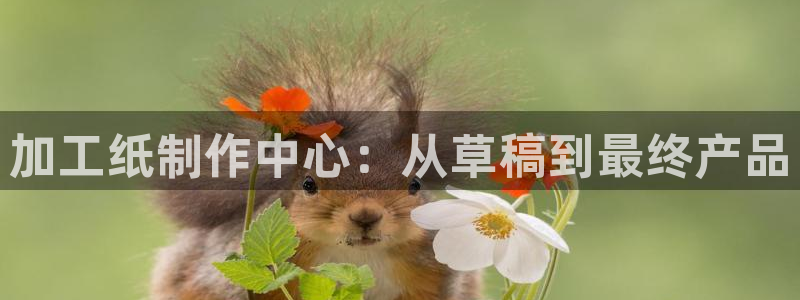 谈球吧与普通平台对比