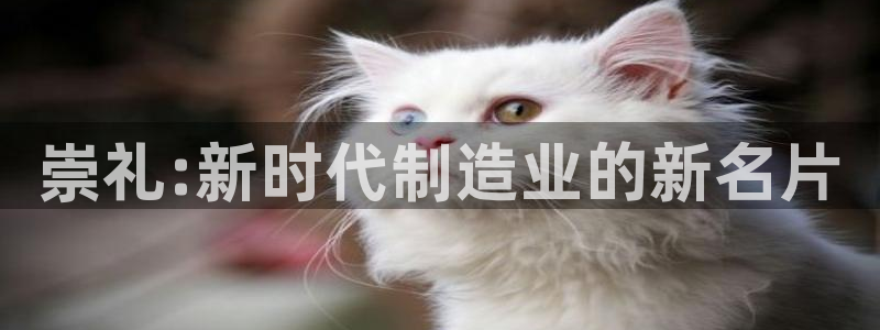 谈球吧体育app下载中心官方