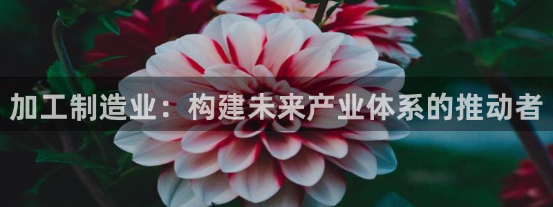 谈球吧体育app下载足球