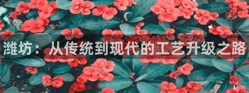 谈球吧体育app下载中心官方