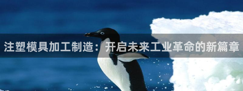 谈球吧官网在线入口手机版免费下载