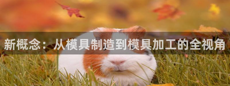 谈球吧app赛事分析报告怎么做