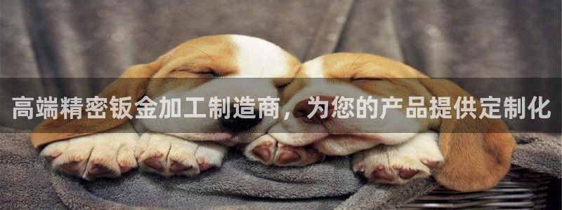 谈球吧app下载安装