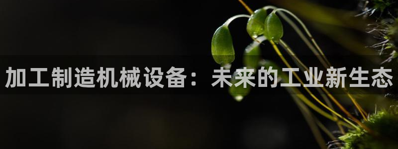 谈球吧官网在线入口