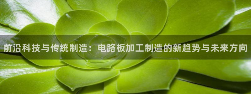 谈球吧官网在线入口免费观看视频下载