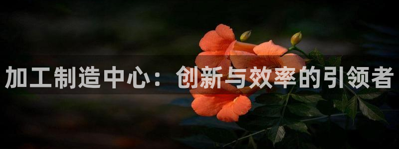 谈球吧体育app下载足球比赛视频