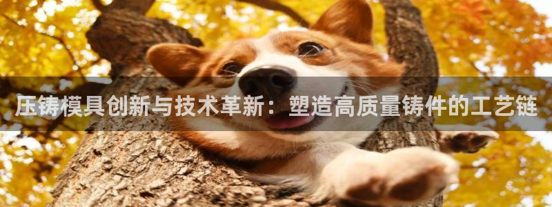 谈球吧体育app下载中心官网手机版