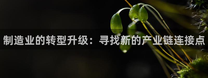 谈球吧app体育