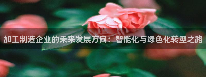 谈球吧电子app