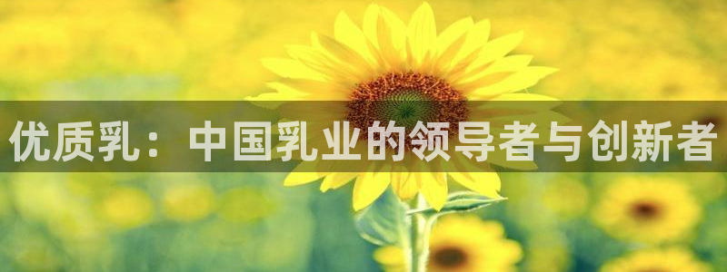 谈球吧网页登陆