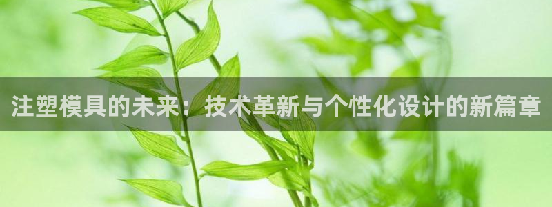 谈球吧登录