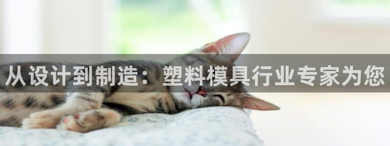 谈球吧体育app官网下载安卓