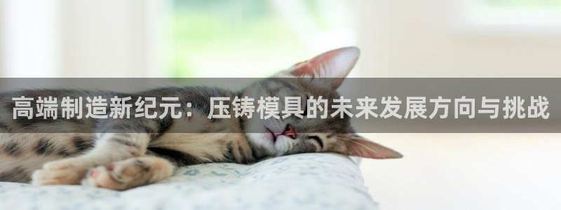 谈球吧全站app下载手机版