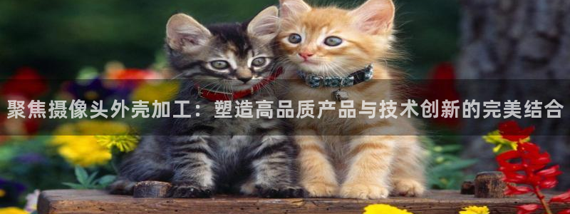 谈球吧平台正规吗可靠吗