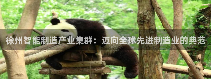 谈球吧可靠吗
