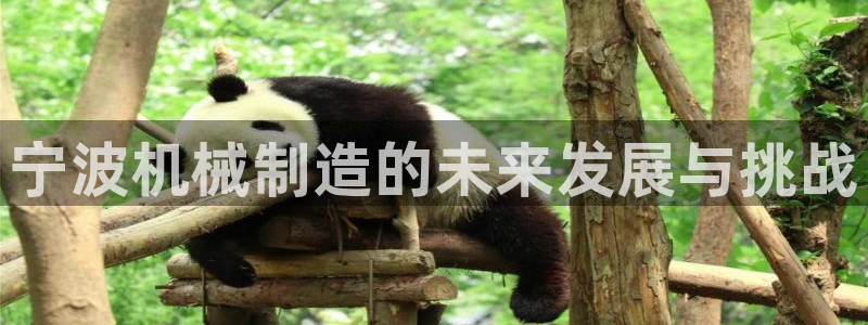 谈球吧平台app