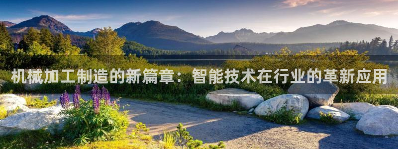 谈球吧体育官方入口