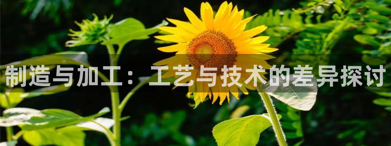 谈球吧app体育下载官网